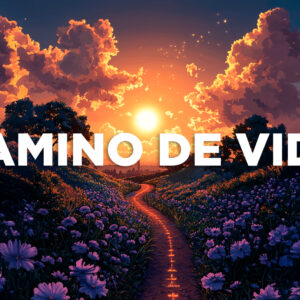 Camino de Vida