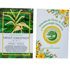 Oráculos de las Flores de Bach y la Numerología Sistémica